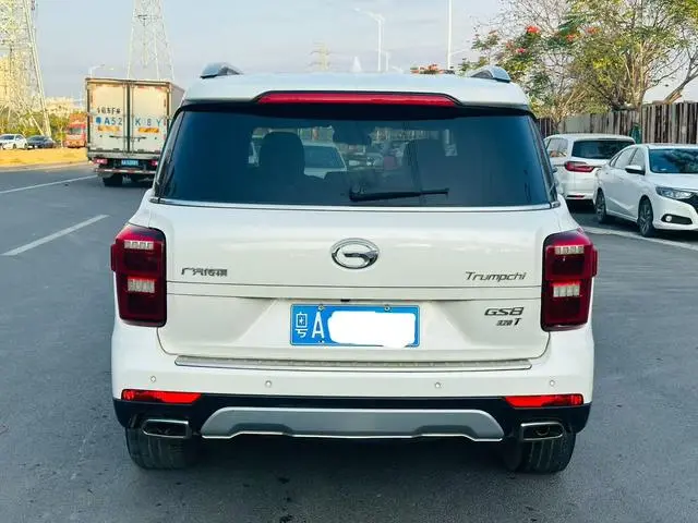 GAC Trumpchi GS8 320T two-wheel drive premium edition 7 seats