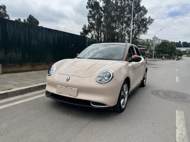 Ora Euler good cat 400km standard battery life Athena version ternary lithium battery