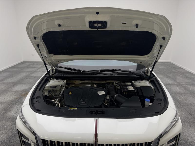 Hongqi Red Flag H5 2024