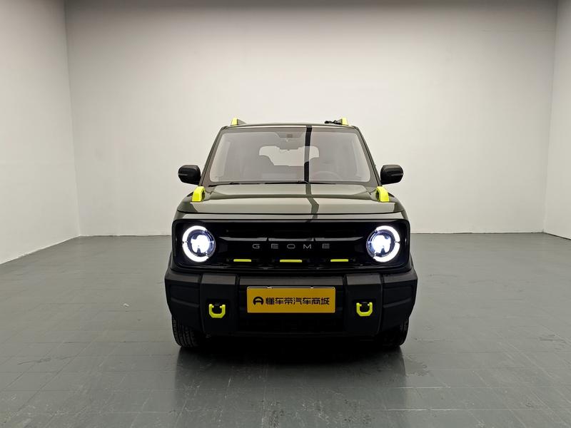 Geely Galaxy panda 2024