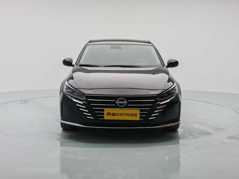 Nissan Sounds of Nature 2022