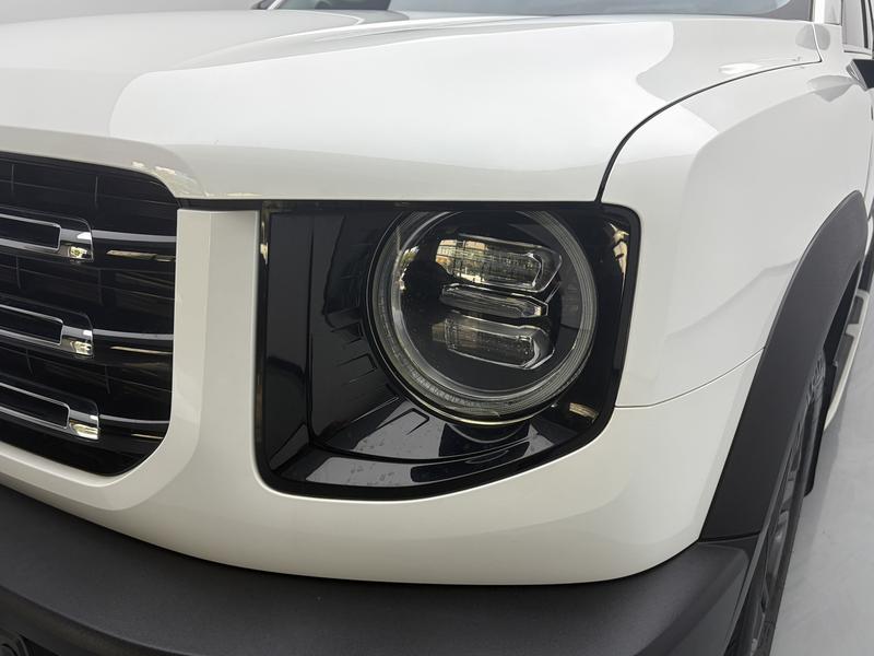 Haval Haval Big Dog 2021