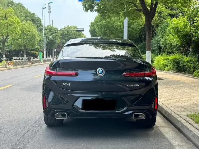 BMW BMW X4 xDrive 30i M sports suit