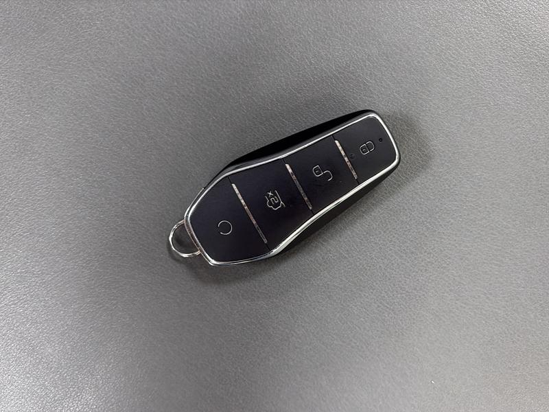 BYD Han EV 2022