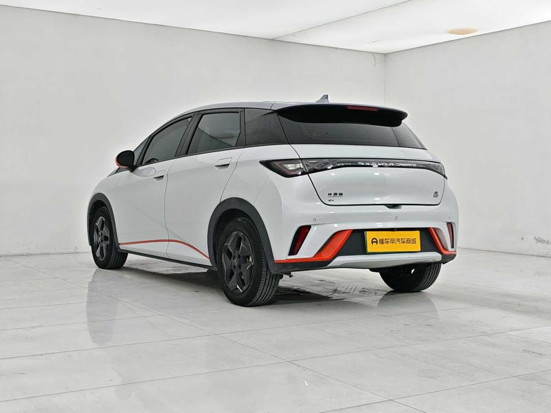 BYD dolphin 2021