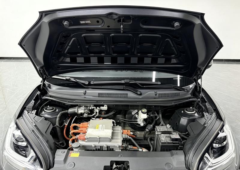 Wuling Wuling Binguo 2023