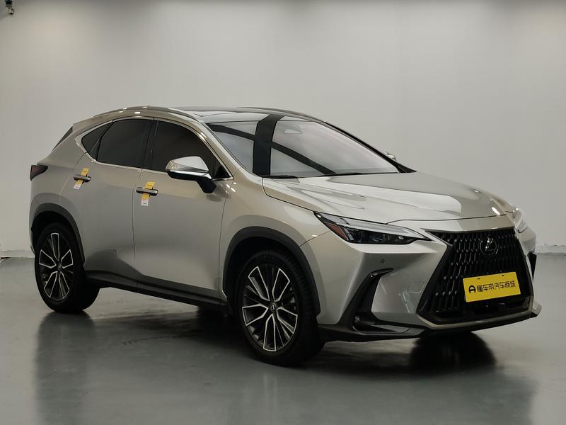 Lexus Lexus NX 2022