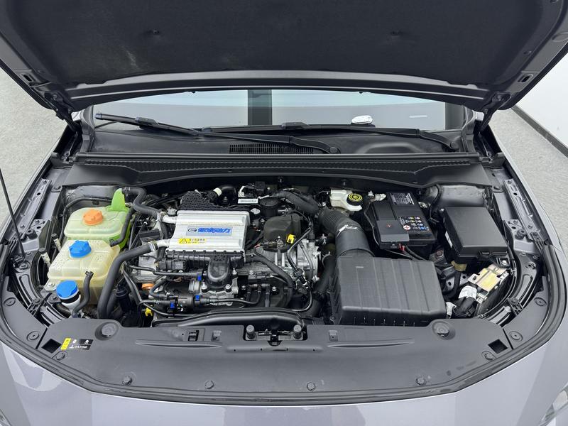 Trumpchi Shadow Leopard 2023