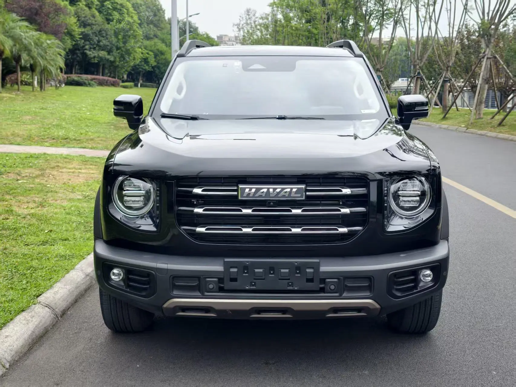 Haval Haval Big Dog 1.5T two-wheel drive side shepherd version