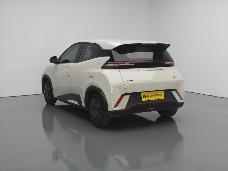 BYD seagull 2024