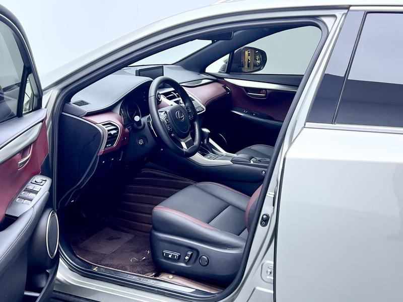 Lexus Lexus NX 2020