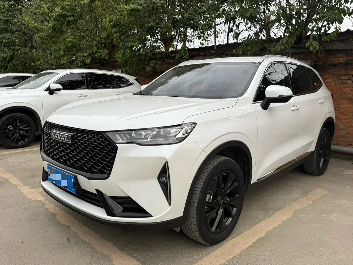 Haval Haval H6 The third generation 2.0T automatic four-wheel drive Max version