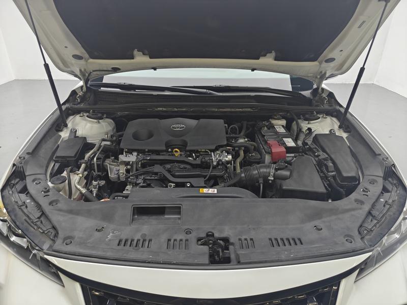 Toyota Asian Dragon 2019