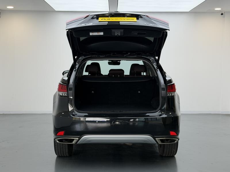 Lexus Lexus RX 2020