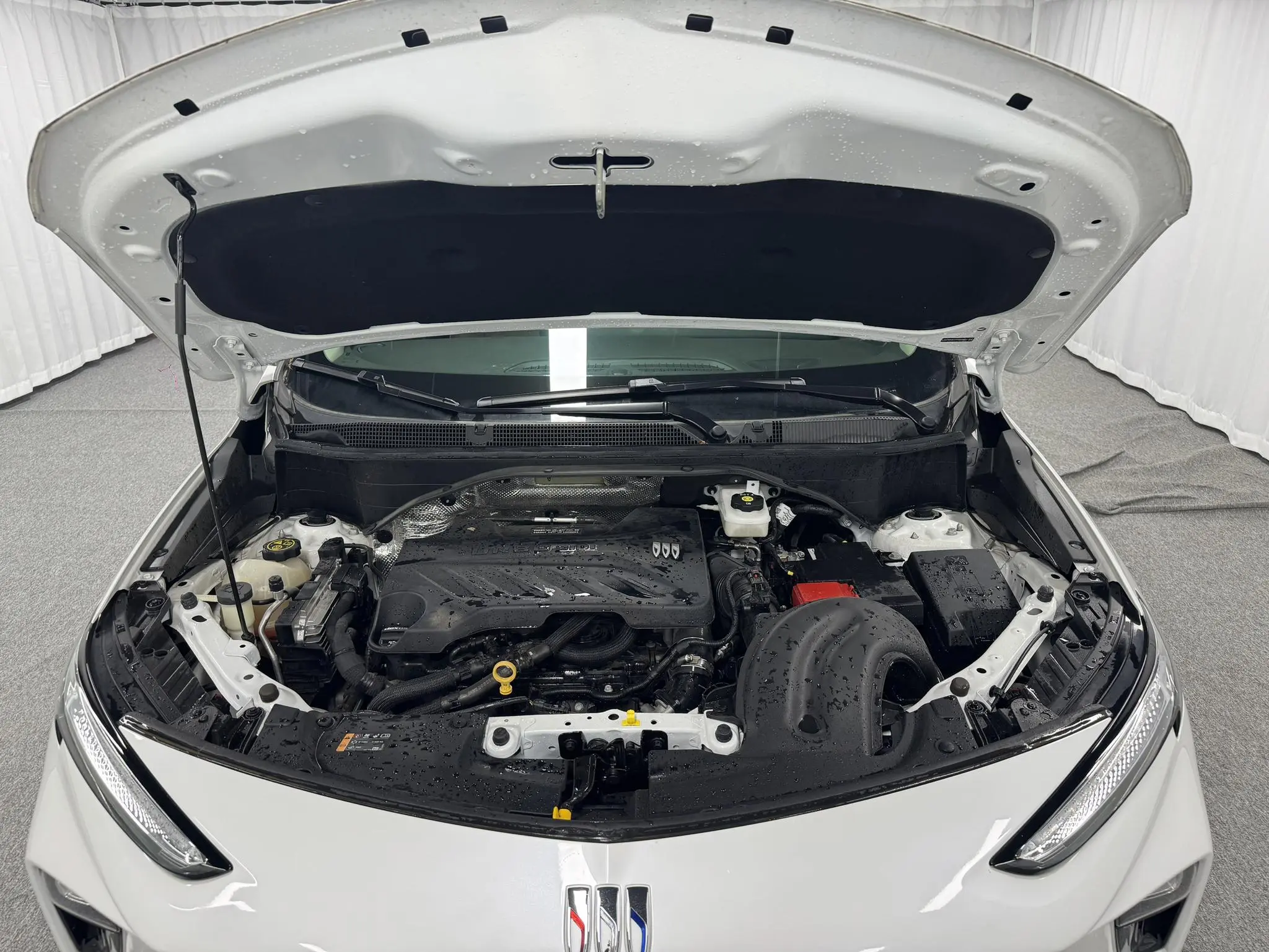 Buick Angkola Plus 1.5T Smart Fun Edition