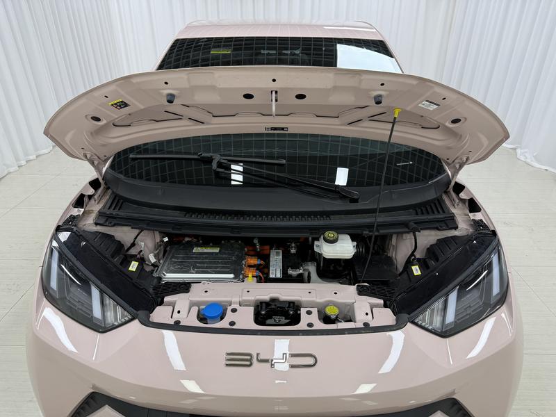 BYD seagull 2023