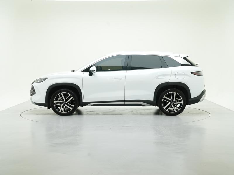 BYD Song L DM 2024