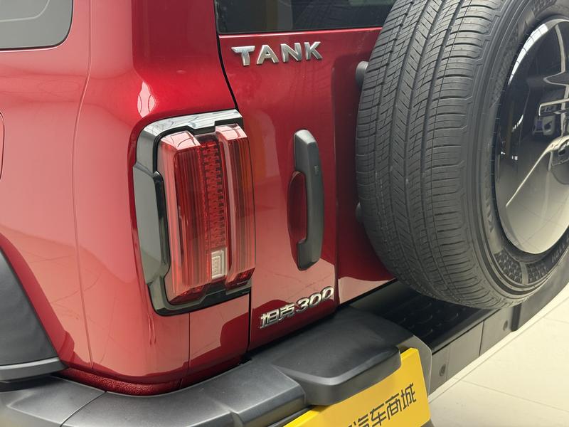 Tank Tank 300 2023