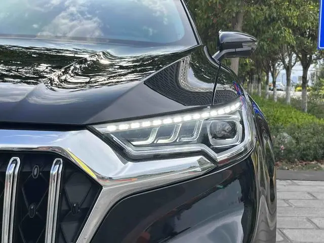 Hongqi Hongqi HS5 2.0T Zhilian flag collar four-wheel drive version