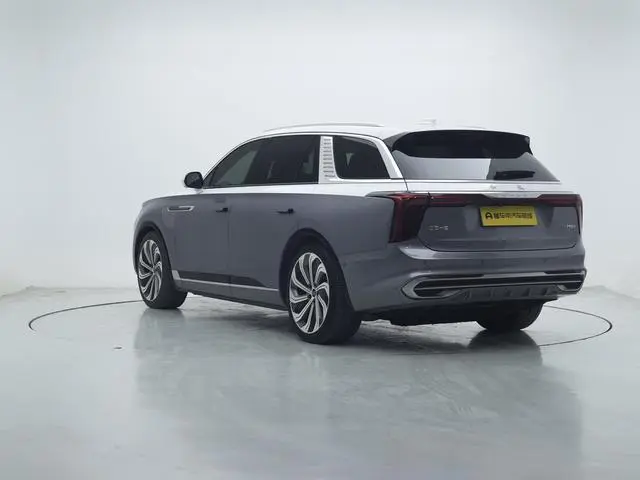 Hongqi Hongqi E-HS9 Facelift 660km flag collar version four-seater