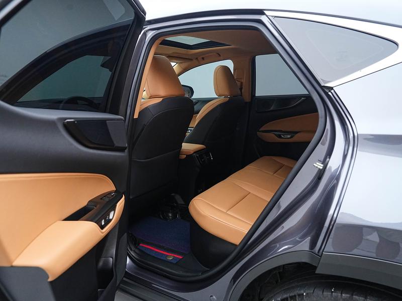 Lexus Lexus NX PHEV 2023