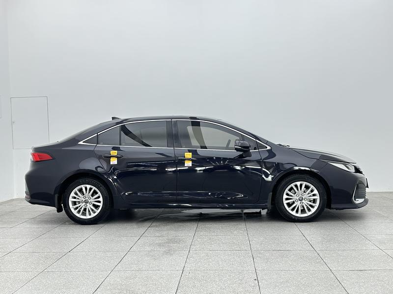 Toyota Asian lion 2021