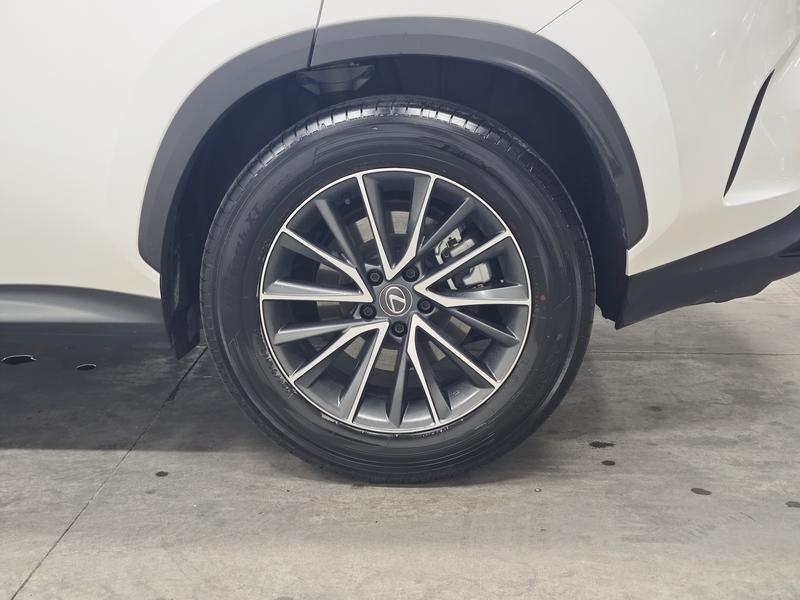 Lexus Lexus NX 2024
