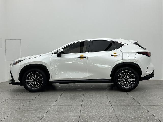 Lexus Lexus NX 2023