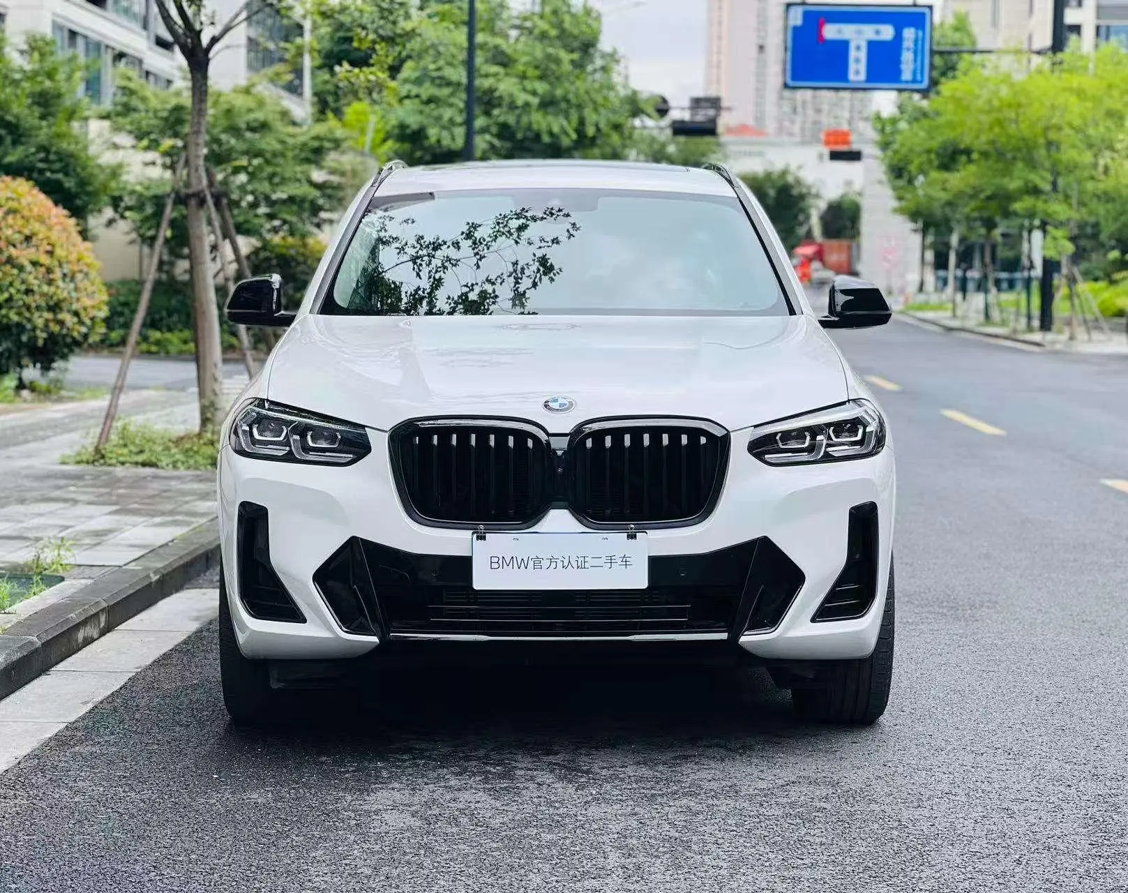 BMW BMW X3 xDrive30i Leading M Yao Ye Set