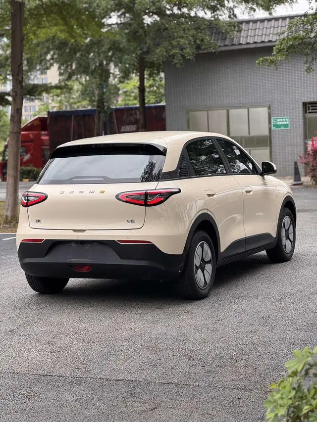 Geely Galaxy Star Wish 310km Youth Edition