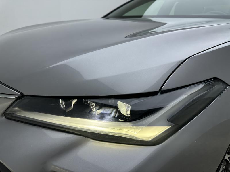 Toyota Asian Dragon 2022