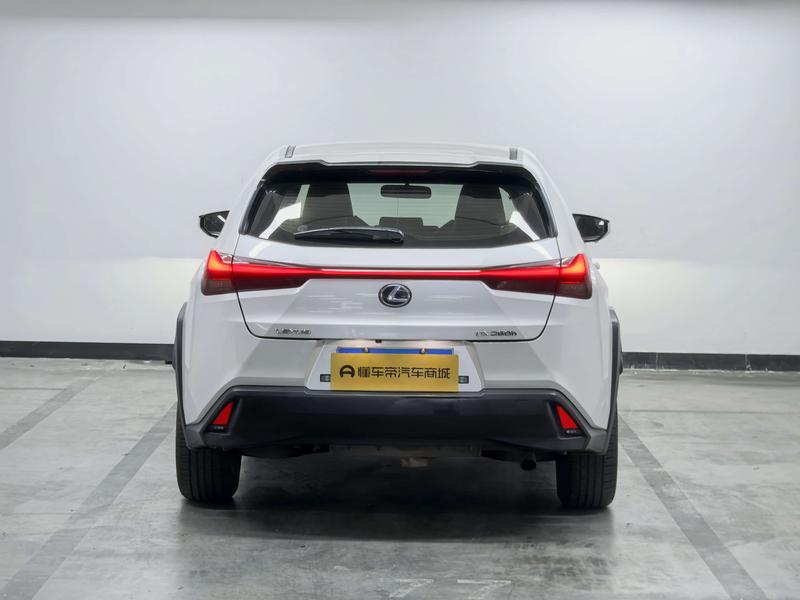 Lexus Lexus UX 2019