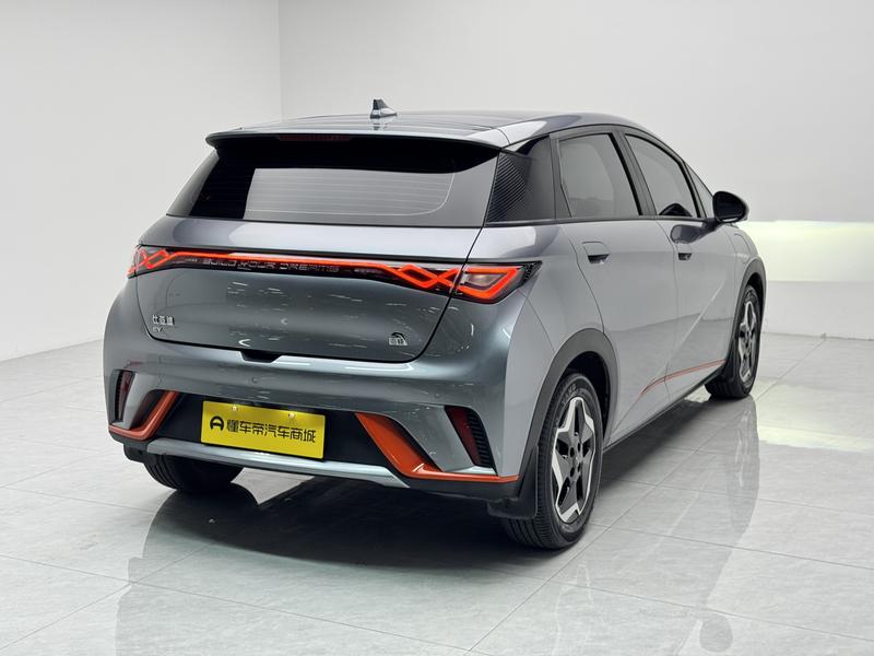 BYD dolphin 2021
