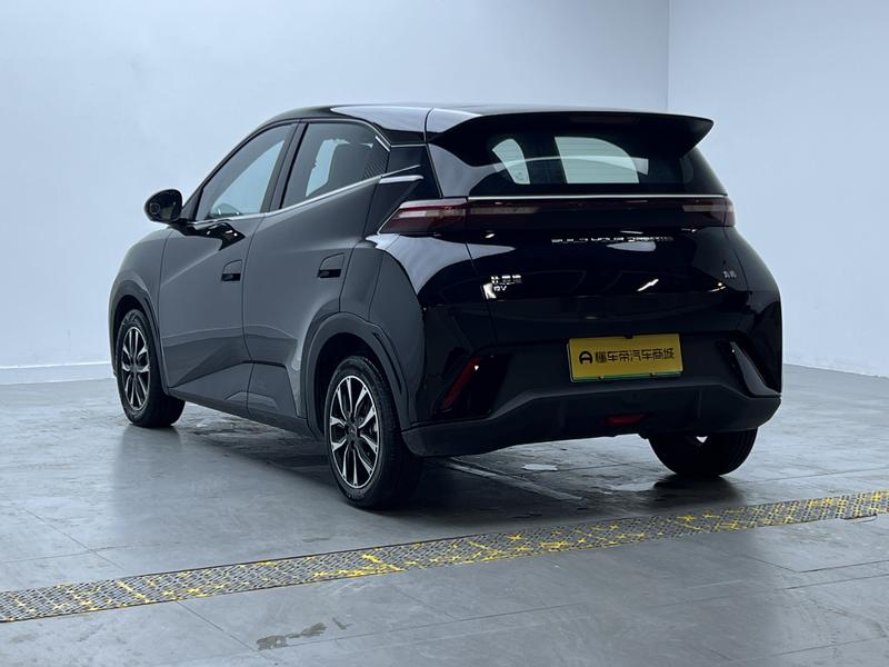 BYD seagull 2024