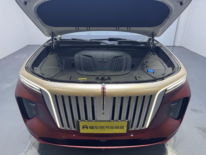 Hongqi Red Flag E-HS9 2020