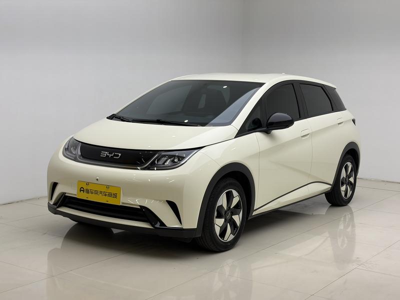 BYD dolphin 2024