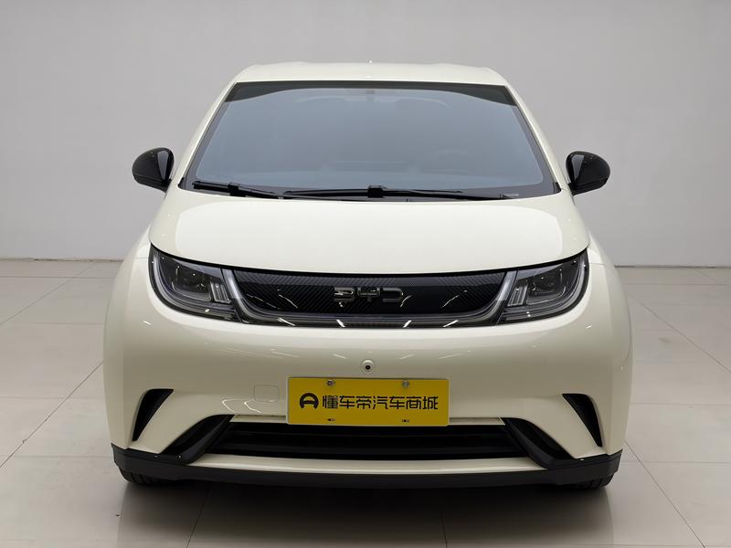 BYD dolphin 2024