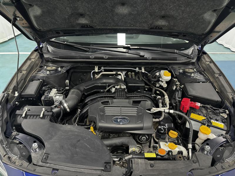 Subaru OUTBACK Proud Tiger 2023