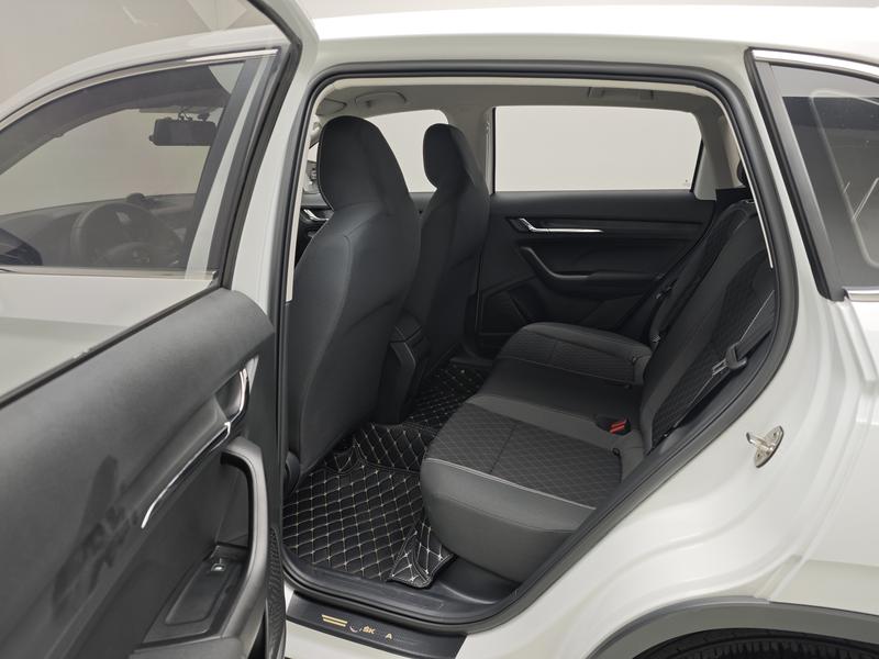 Skoda Kemik 2024