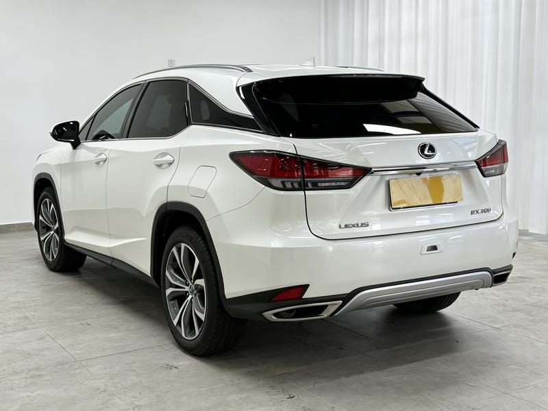 Lexus Lexus RX 2020