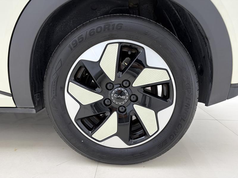 BYD dolphin 2024
