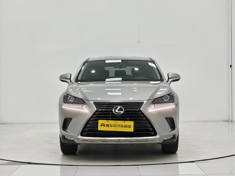 Lexus Lexus NX 2020