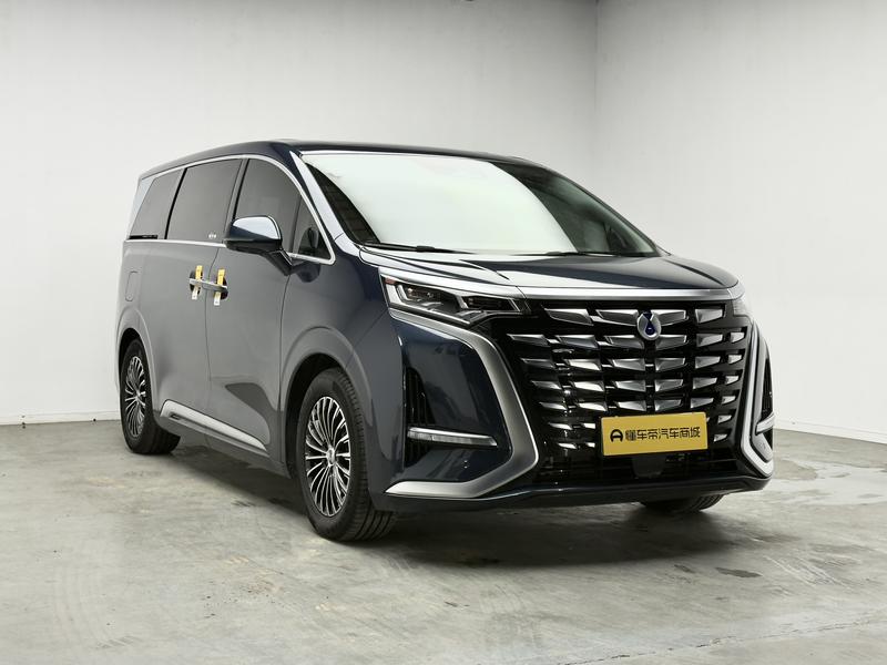 Denza Tengshi D9 DM 2024
