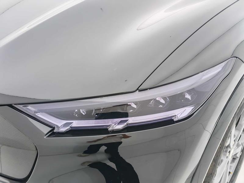 Ford Ford Electric Horse 2021