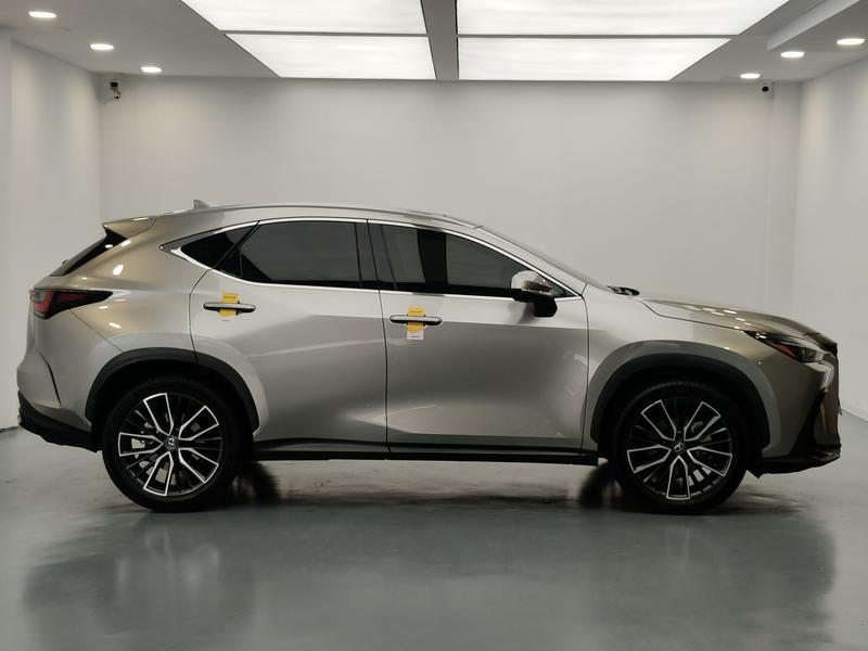 Lexus Lexus NX 2022