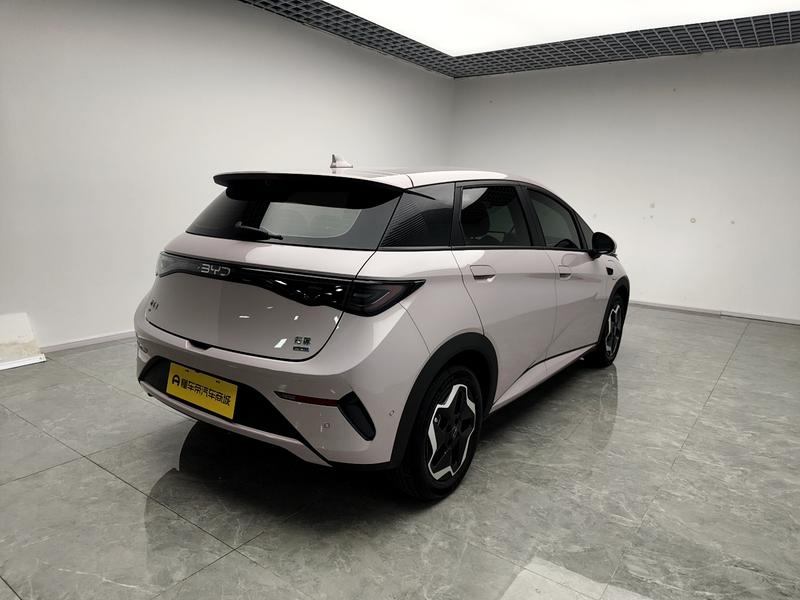 BYD dolphin 2025