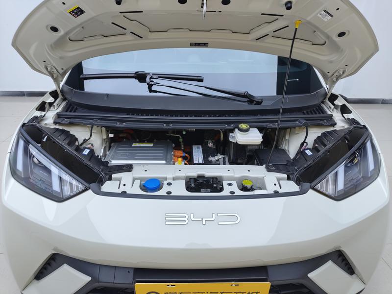 BYD seagull 2023