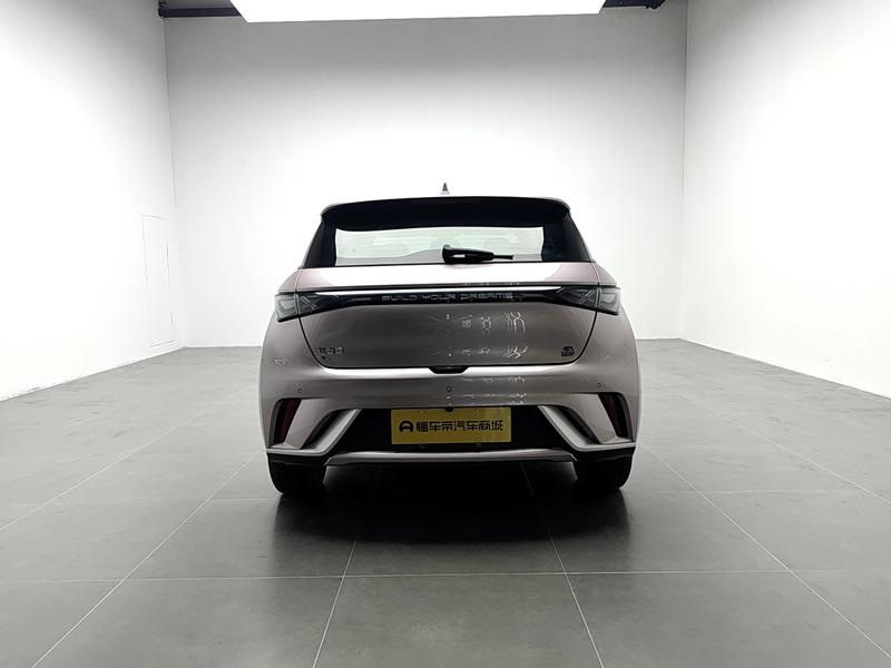 BYD dolphin 2023