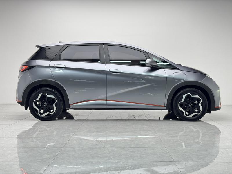 BYD dolphin 2021