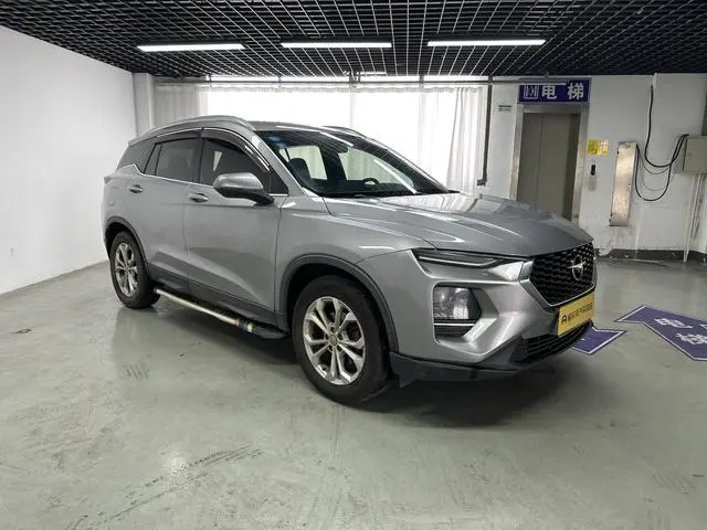 Haima Seahorse 8S 1.6T automatic tide version